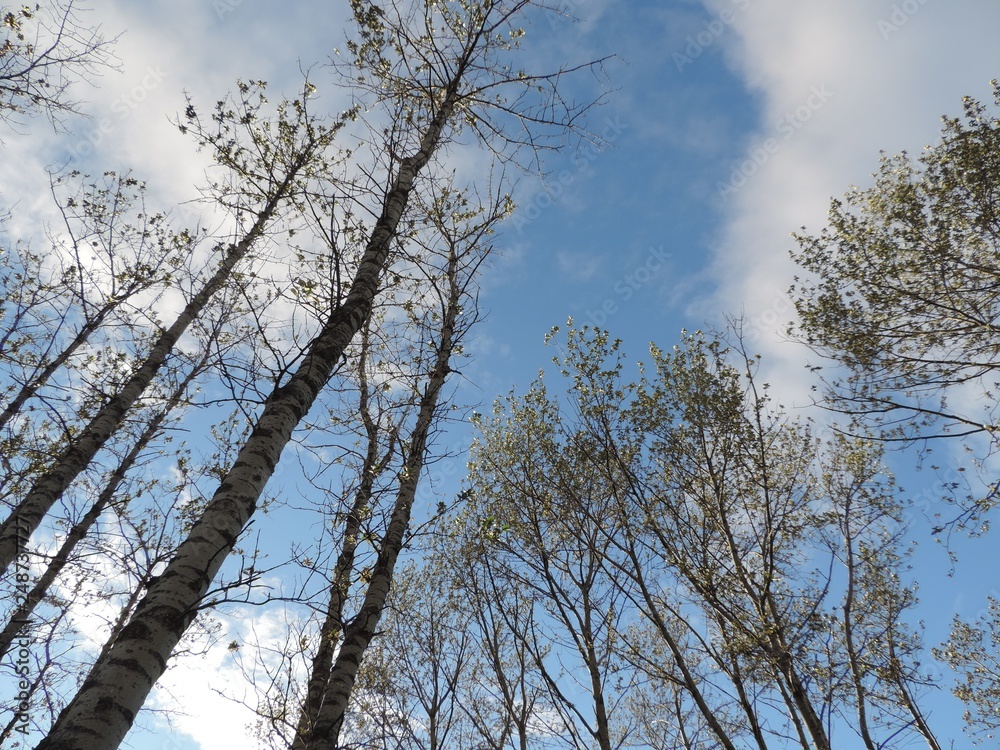 Obraz premium souvenir matane 3