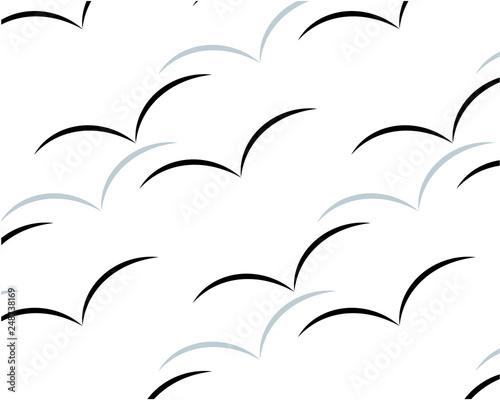 isolated silhouette of a black bird flying wind