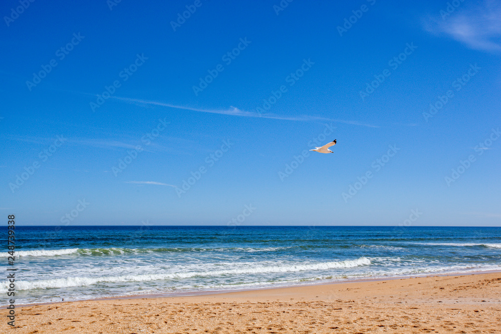 Beach Shore Water Coming in Sand Ocean Landscape Sunny Daytime Vacation Warm Tropical Weather Environment