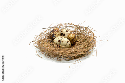 eggs, isolated, background, white