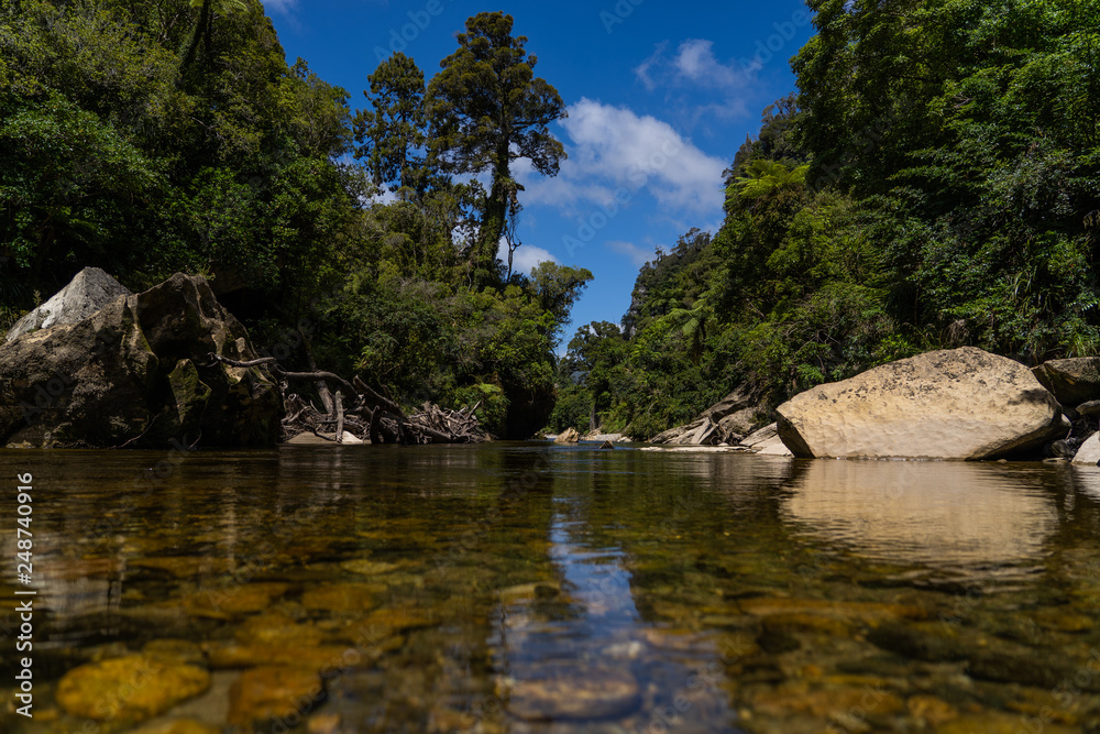Pororari River track, landscape on the Pororari River Track, new zealand, south island, Wild New Zealand forest or jungle, Catlins, South Island. Pororari River track, landscape on the Pororari River Track, new zealand, south island, Wild New Zealand forest or jungle, Catlins, South Island.