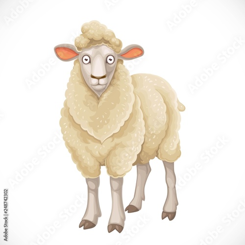 Cute cartoon white woolly sheep lush wool isolated on white background