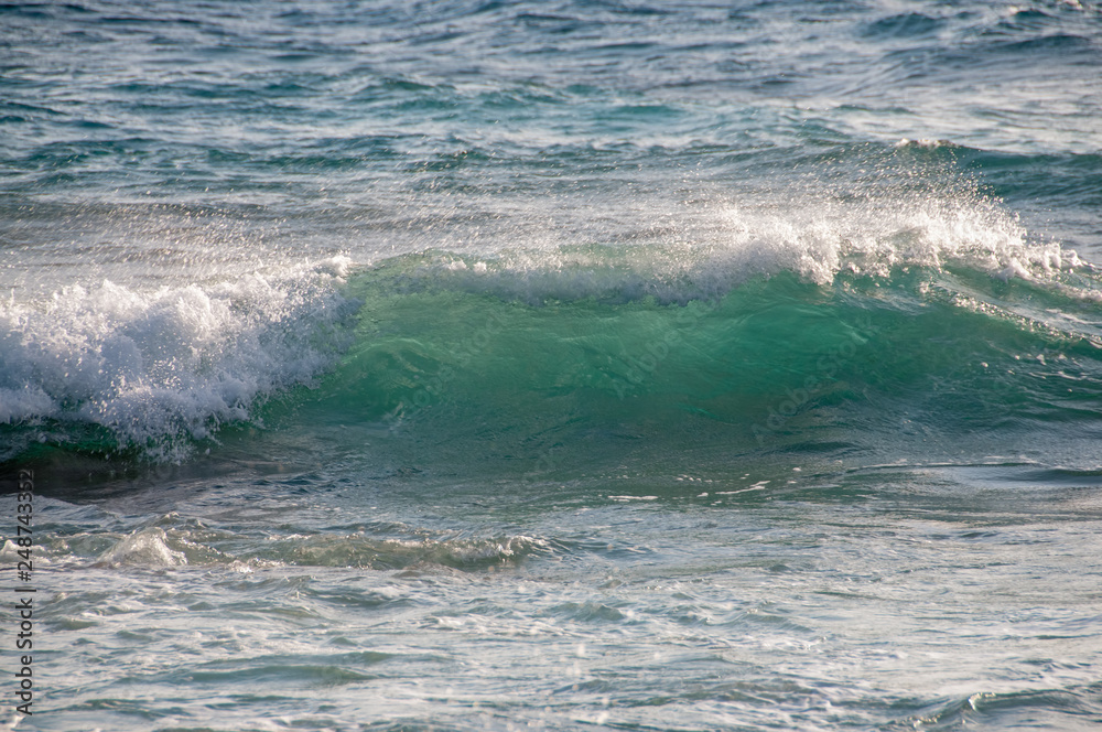 Fototapeta premium Caribbean Surf