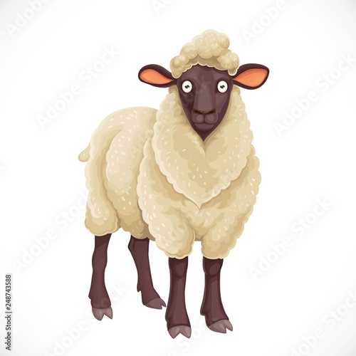 Cute dark cartoon  sheep with white  lush wool isolated on white background
