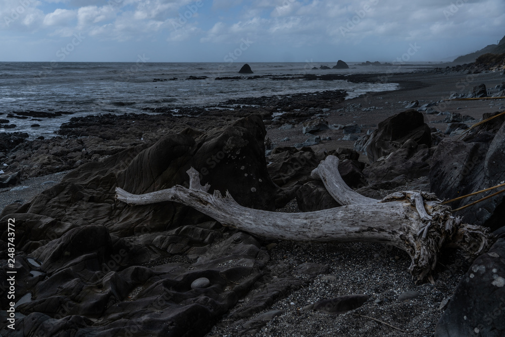 great rocks on the beach of New Zealand, amazing rocks on the beach, rock texture background on the beach, New Zealand coastline with foggy weather 