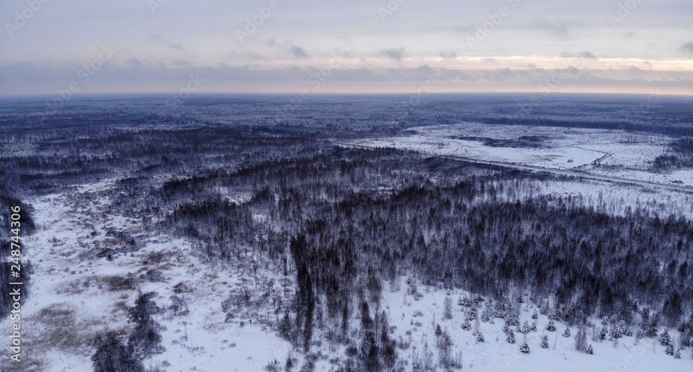 Winter forest landscape air