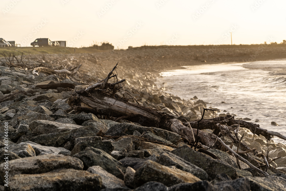 sunset on the coast of New Zealand with rocks and wood in the foreground, amazing sunset in new Zealand, great New Zealand landscape