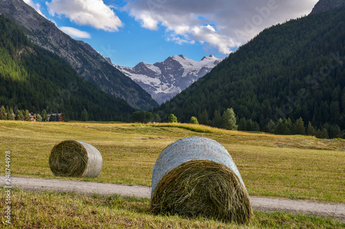 Scenic view of an alpine field with big round bales of hay and mountain peaks in the background, Cogne, Aosta Valley, Alps, Italy