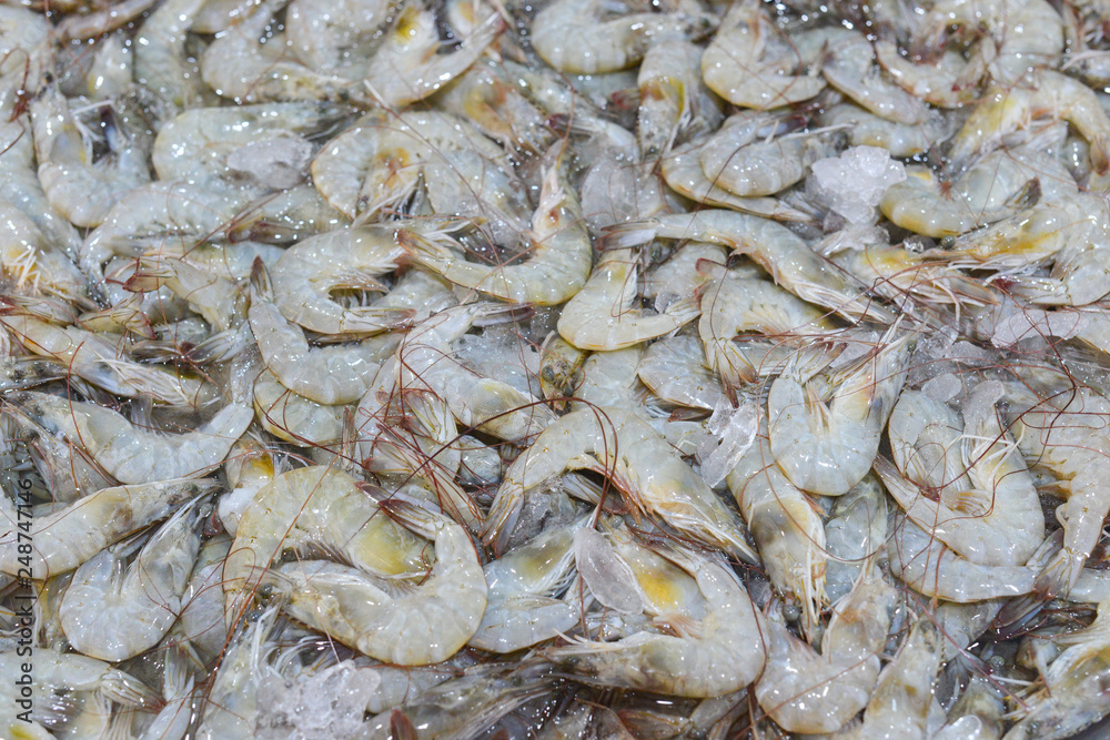 Close up of raw prawn of shrimp Close up of raw prawn of shrimp