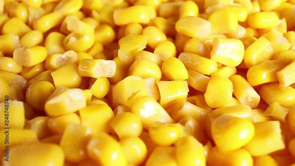 Yellow corn grains food closeup texture pattern seamless looping rotating video footage hd resolution. Yellow corn grains food closeup texture pattern seamless looping rotating video footage hd resolution.