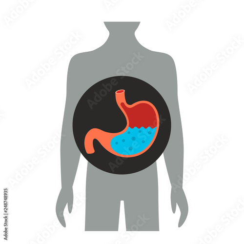 Full stomach of water and bubbles. flat vector illustration isolated