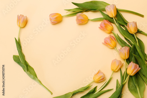 Fototapeta Naklejka Na Ścianę i Meble -  Beautiful flowers on color paper background. Yellow tulips and paper
