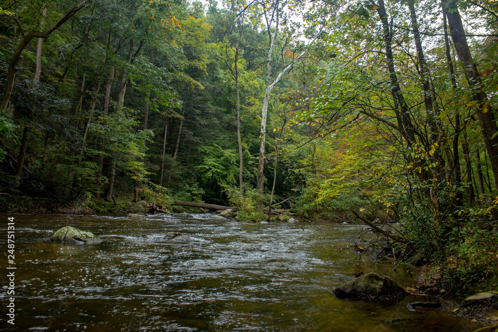 Fototapeta premium Fork in the river