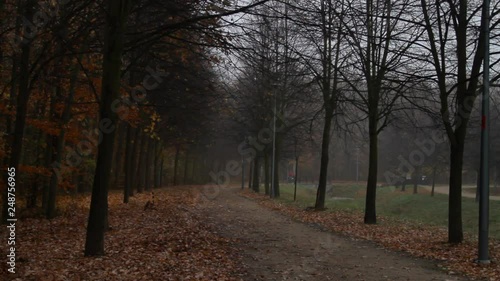 A bicycle rider rides through a city's park path during an autumn foggy misty morning. photo