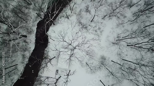 Drone Footage of Trees photo