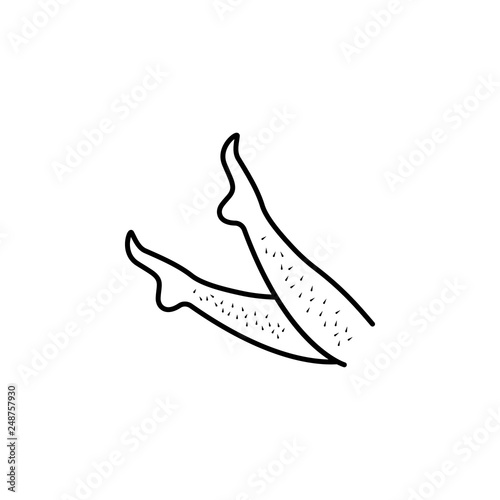 shin epilation, women icon. Element of health care for mobile concept and web apps icon. Thin line icon for website design and development, app development