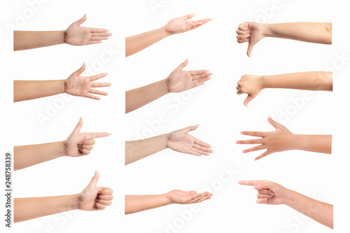 set of  woman hands isolated on white background