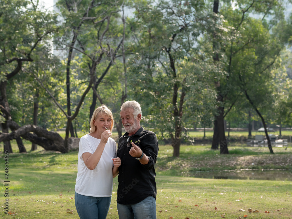 Obraz premium Happy senior man and woman couple in a park on a sunny day. relax in the forest spring summer time. free time, lifestyle retirement grandparents concept.