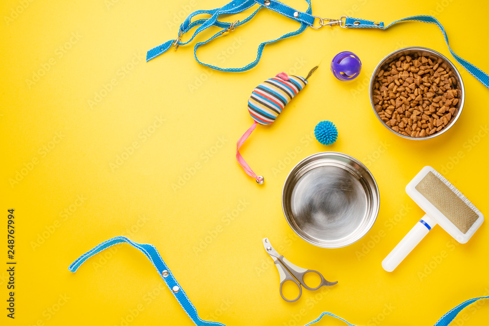 Pet, cat, food and accessories of cat life flat lay, with space for design, on yellow background Pet, cat, food and accessories of cat life flat lay, with space for design, on yellow background