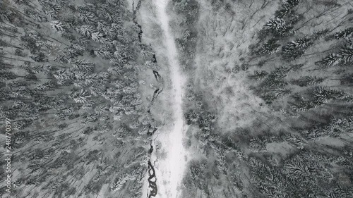 Straight down aerial shot of evergreen trees and stream in central composition covered in snow photo