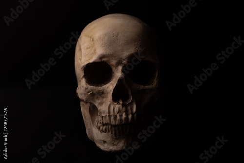 A realistic human skull is isolated on black background. It looks straight - frontal view. Its teeth are visible. The jaw is closed. Close up.
