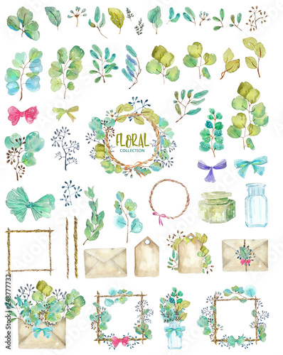 Set of watercolor green plant elements and vintage details