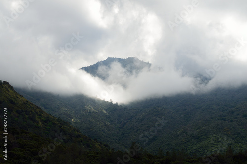 Mountaintop framed in a glowing fog © April