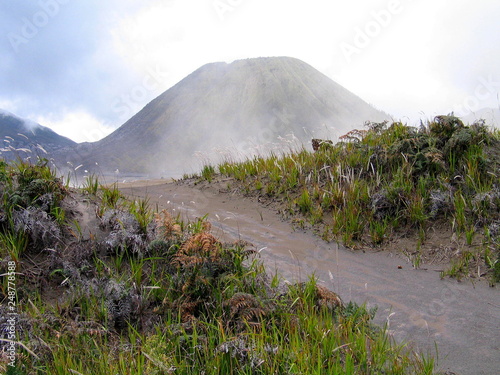 Mount Bromo. Volcano in Java. Indonesia photo