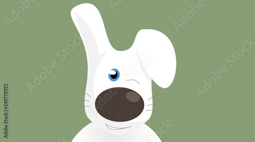Hase 