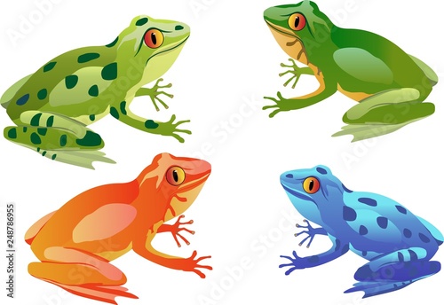 Tropical colored frogs vector set isolated on white