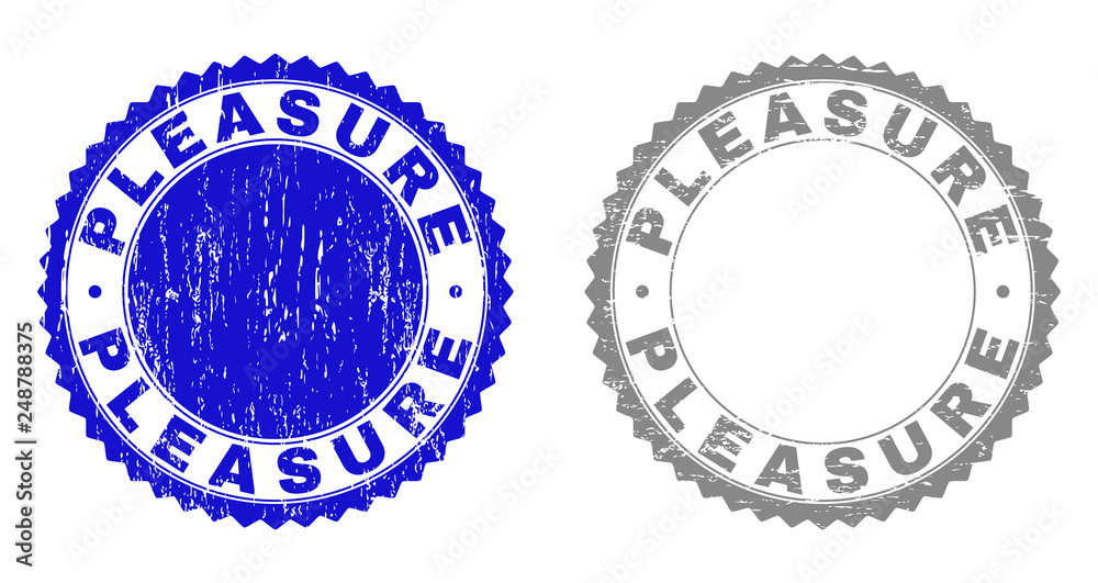 Grunge PLEASURE stamp seals isolated on a white background. Rosette seals with grunge texture in blue and grey colors. Vector rubber stamp imprint of PLEASURE title inside round rosette. Grunge PLEASURE stamp seals isolated on a white background. Rosette seals with grunge texture in blue and grey colors. Vector rubber stamp imprint of PLEASURE title inside round rosette.