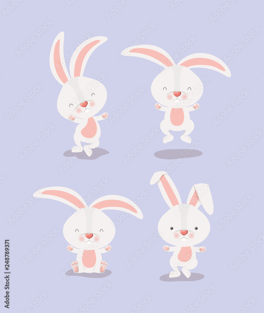 group of cute rabbits group of cute rabbits