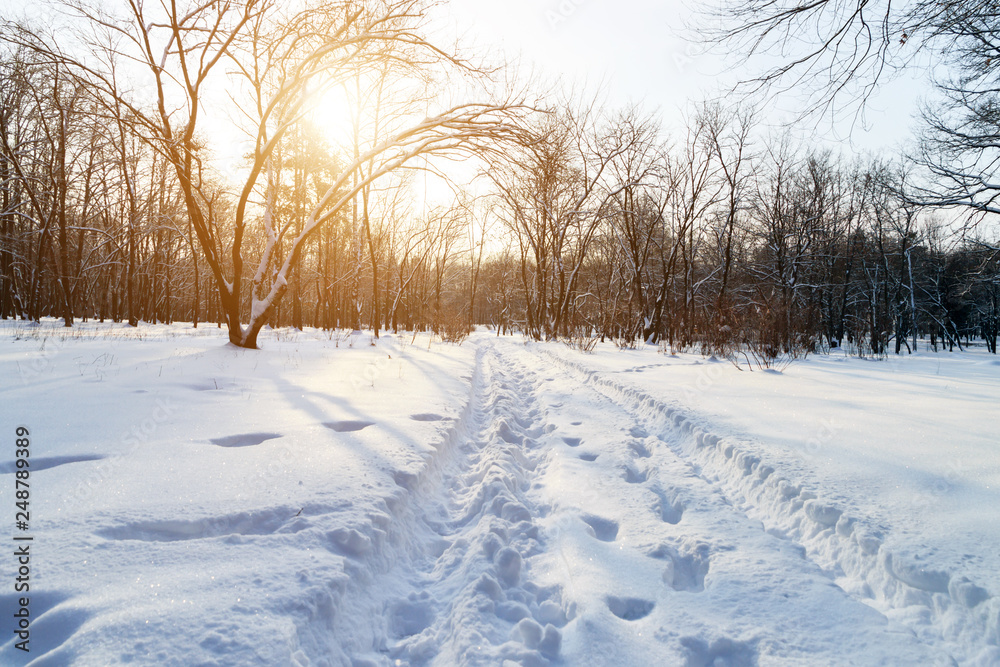 Landscape snow winter storm day Landscape snow winter storm day