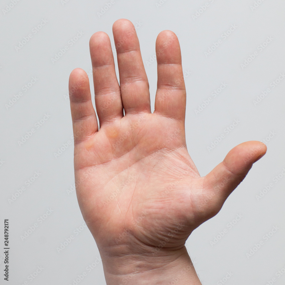 Male hand on white background. Open palm. Sign language Male hand on white background. Open palm. Sign language