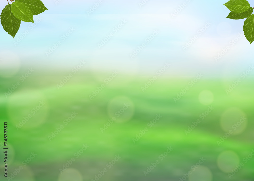 Naklejka premium Nature green background with fresh leaves on a blurred background of grass and sky and bokeh effect. View with copy space add text. Vector