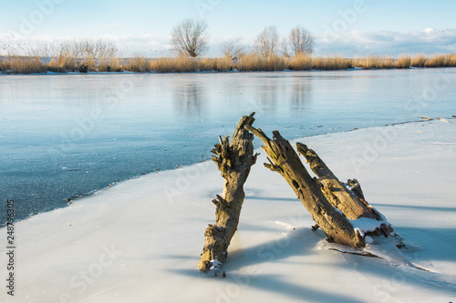 Fototapeta Naklejka Na Ścianę i Meble -  zamarznięta rzeka, zima