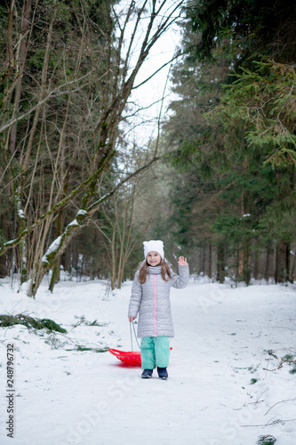 little and beautiful girl of six years old walks in a snowy forest with sleds