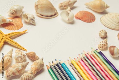 Seashells and starfish on a white background. Copy space for your text.