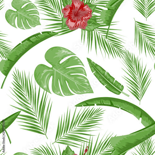 Exotic abstract vector jungle or tropical leaf and flower seamless pattern. Vector illustration. Green leaf and white background.