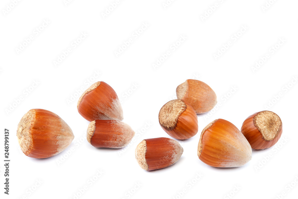 Fruits Hazelnuts isolated on a white background. Fruits Hazelnuts isolated on a white background.