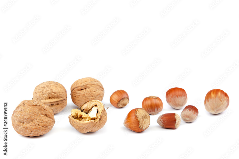 Hazelnuts and walnuts isolated on white background Hazelnuts and walnuts isolated on white background