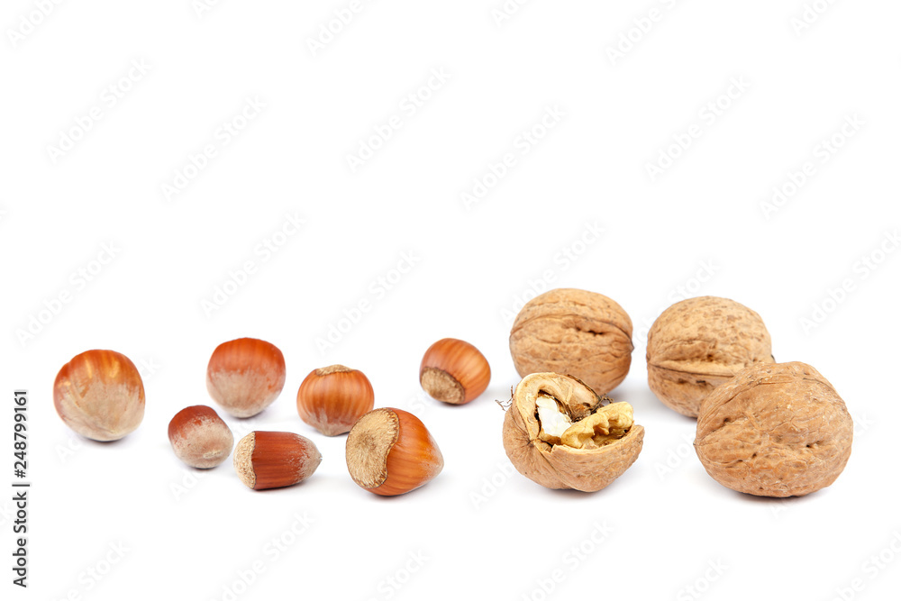 Hazelnuts and walnuts isolated on white background Hazelnuts and walnuts isolated on white background
