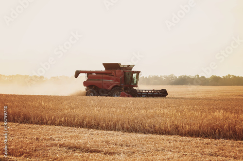 Combine harvester in a wheat field on a sunny summer day © trotzolga