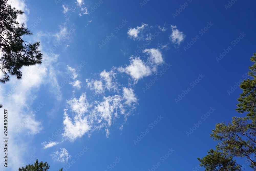 Beautiful nature of blue sky and clouds with the sun shining, sky background, cloudscape concept, Looking up Beautiful nature of blue sky and clouds with the sun shining, sky background, cloudscape concept, Looking up