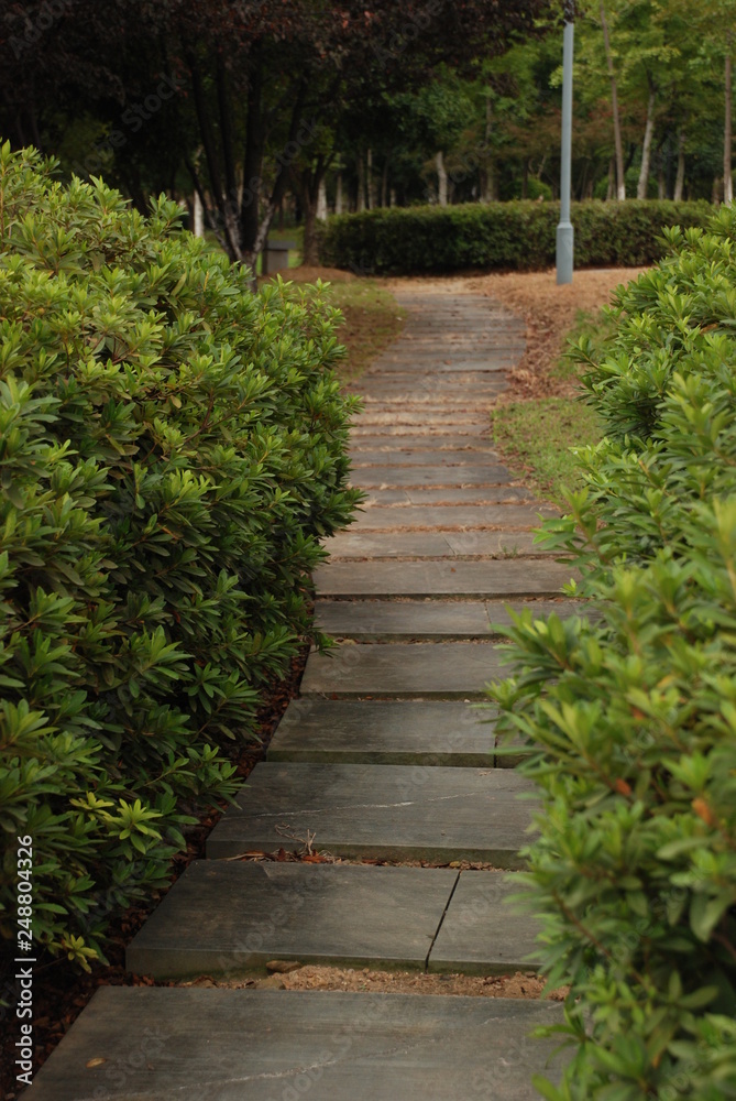 The pedestrian path in the park