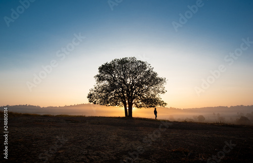 Black silhouettes  big trees and a boy in the meadow  and beautiful sky. Look relaxed  energetic and bright.