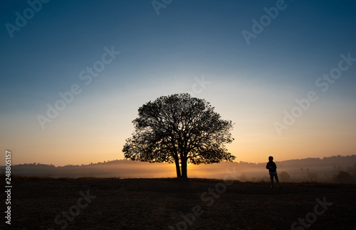 Black silhouettes, big trees and a boy in the meadow, and beautiful sky. Look relaxed, energetic and bright.