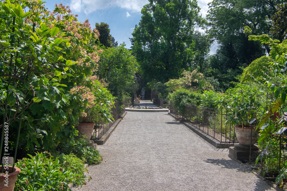 Beautiful historic part of botanic garden in Padova, outdoor path, plants, trees and flowers in sunlight