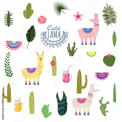 Set Lama Alpaca cacti drinks and decorative. Collection of elements for decoration, vector, illustration, isolated, cute style