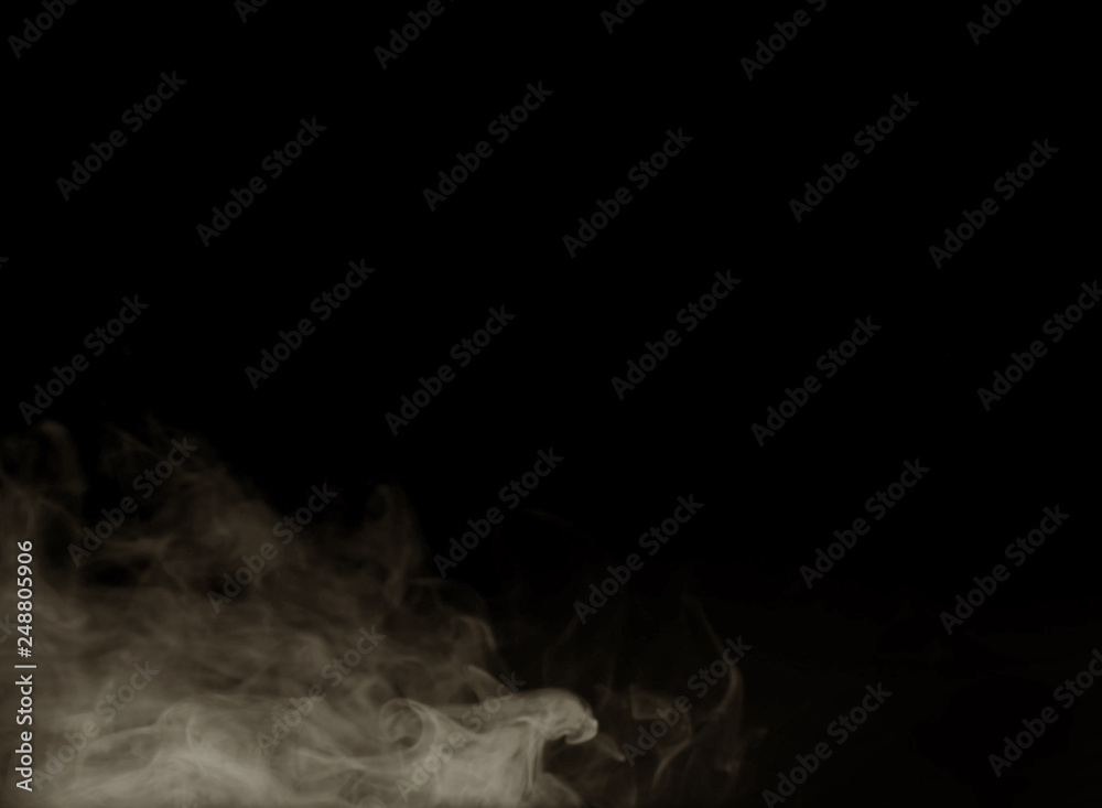 Fototapeta premium Fog Overlay